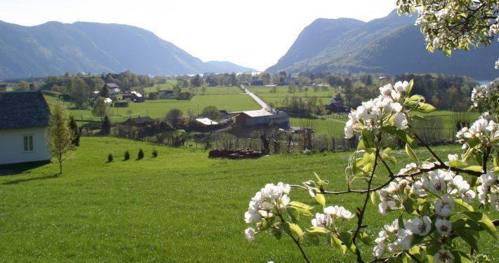 Hoiland Gard Gardshotellet Hjelmeland Exterior photo